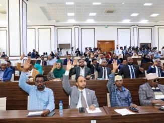 Baarlamaanka oo ansixiyay hindise sharciyeedka amniga saybarka Soomaaliya