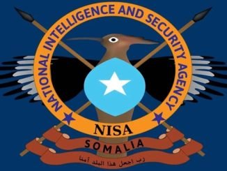 Hay'adda Nabad-sugidda iyo Sirdoonka Qaranka Soomaaliya (NISA)