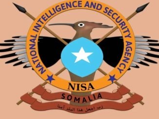 Hay'adda Nabad-sugidda iyo Sirdoonka Qaranka Soomaaliya (NISA)