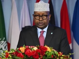 Wasiirka gaashaandhiga ee xukuumadda federaalka Soomaaliya Axmed Macalin Fiqi