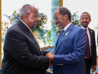 Madaxweyne Xasan Sheekh oo ka qayb galay caleema-saarka madaxweynaha Jabuuti