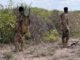 Ciidanka kumaandooska ee Danab oo burburiyay fariisimo Al-shabaab ku lahayd gobolka Baay