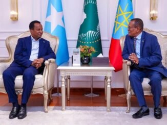 Wasiirka Arrimaha Dibadda Soomaaliya oo gaaray Addis Ababa si uu uga qeyb galo shirka Golaha Fulinta Midowga Afrika