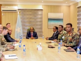 Madaxweyne Xasan Sheekh oo kulan la yeeshay taliyaha ciidamada Mareykanka ee AFRICOM