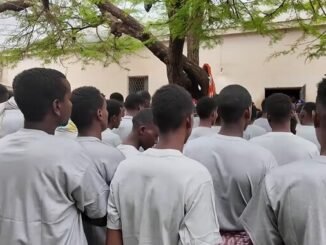 Maamulka Koonfur Galbeed oo magaalada Baydhabo kusoo bandhigtay 53 maxbuus