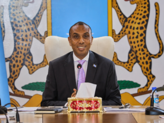 Ra’iisul wasaaraha xukuumadda federaalka Soomaaliya, Xamse Cabdi Barre