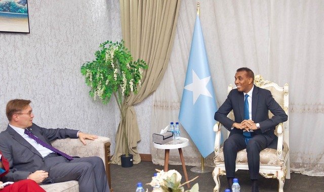 Ra'iisul wasaare Xamse oo kulan la yeeshay safiirka cusub ee Midowga Yurub u qaabilsan Soomaaliya